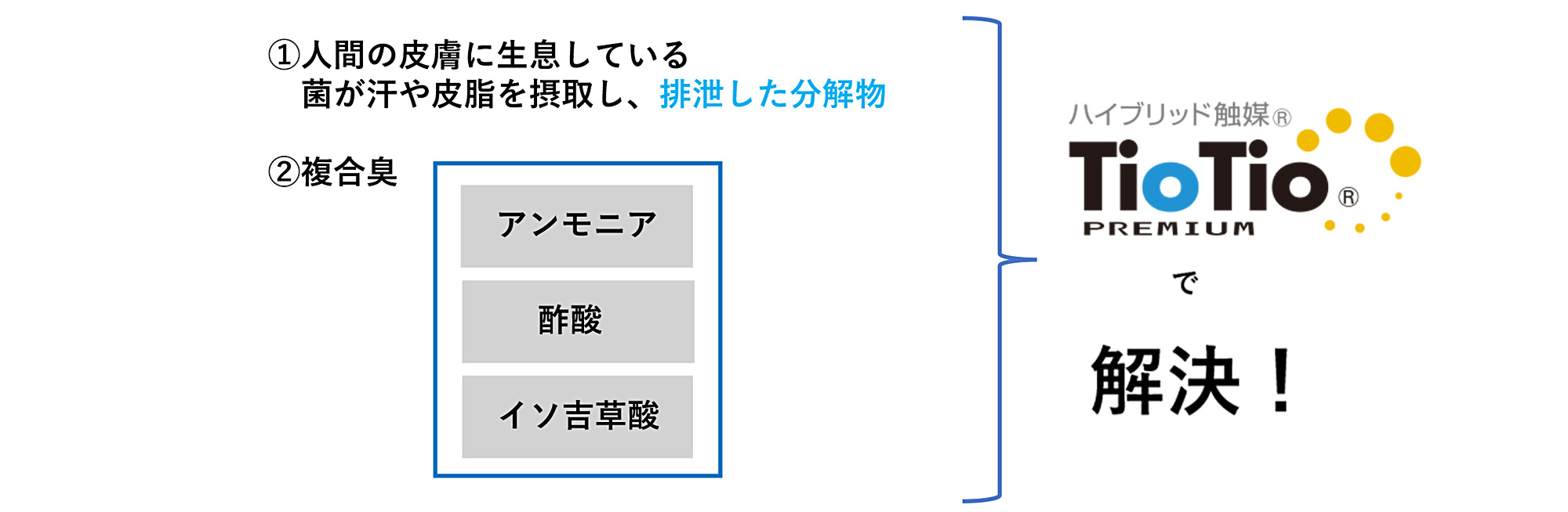 ハイブリッド触媒